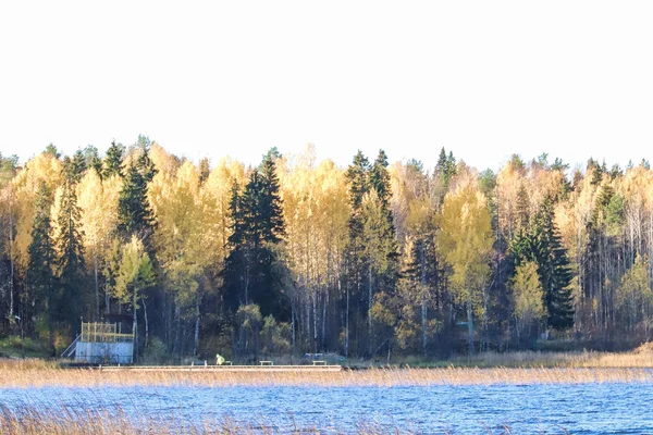 Día Otoño Las Inmediaciones Del Sanatorio Belomorye Arkhangelsk Región Orilla — Foto de Stock