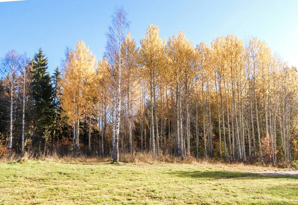 Sonbahar günü sanatoryum 