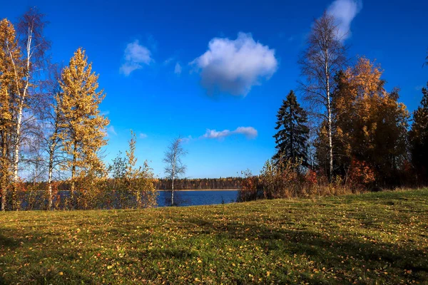 Dia Outono Nas Proximidades Sanatório Belomorye Região Arkhangelsk Margem Lago — Fotografia de Stock