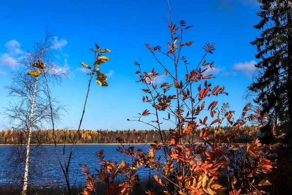 Sonbahar günü sanatoryum 