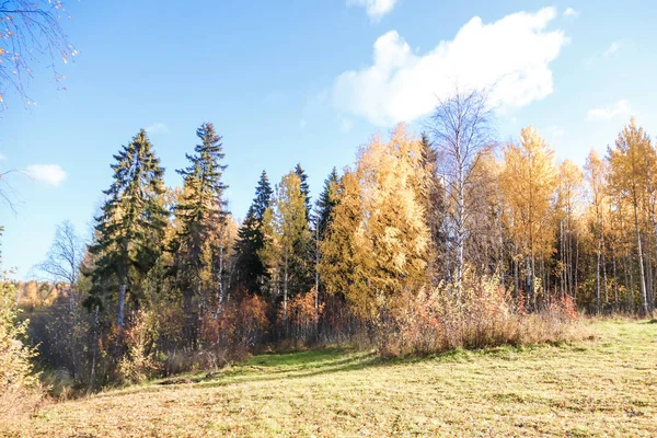 Sonbahar günü sanatoryum 