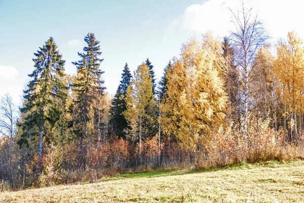 Sonbahar günü sanatoryum 