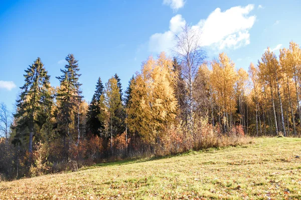 Sonbahar günü sanatoryum 