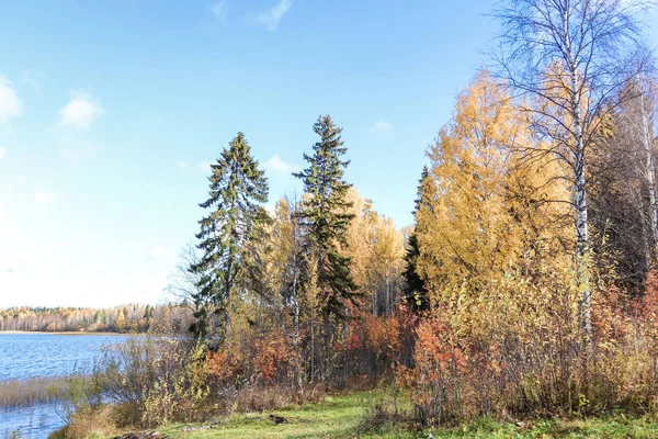 Höstdag Närheten Sanatorium Belomorye Archangelskregionen Den Sjön Smardie Strand Reflektionen — Stockfoto