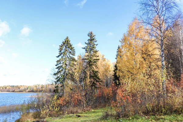 Höstdag Närheten Sanatorium Belomorye Archangelskregionen Den Sjön Smardie Strand Reflektionen — Stockfoto