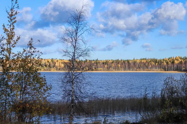 Höstdag Närheten Sanatorium Belomorye Archangelskregionen Den Sjön Smardie Strand Reflektionen — Stockfoto