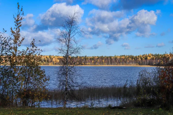 Sonbahar günü sanatoryum 