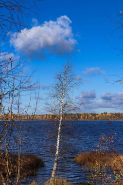 Sonbahar günü sanatoryum 