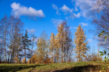 Sonbahar günü sanatoryum 