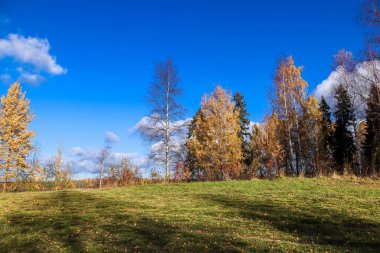 Sonbahar günü sanatoryum 