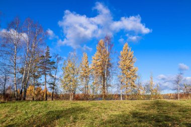 Sonbahar günü sanatoryum 