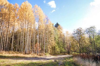 Sonbahar günü sanatoryum 