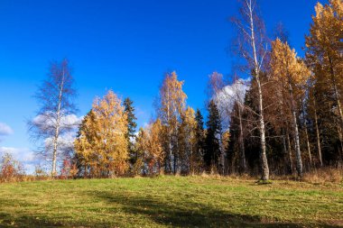 Sonbahar günü sanatoryum 