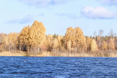 Sonbahar günü sanatoryum 