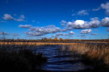 Sonbahar günü sanatoryum 