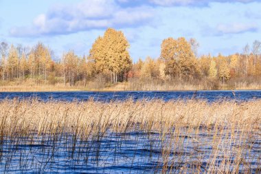 Sonbahar günü sanatoryum 