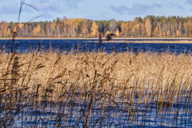 Sonbahar günü sanatoryum 