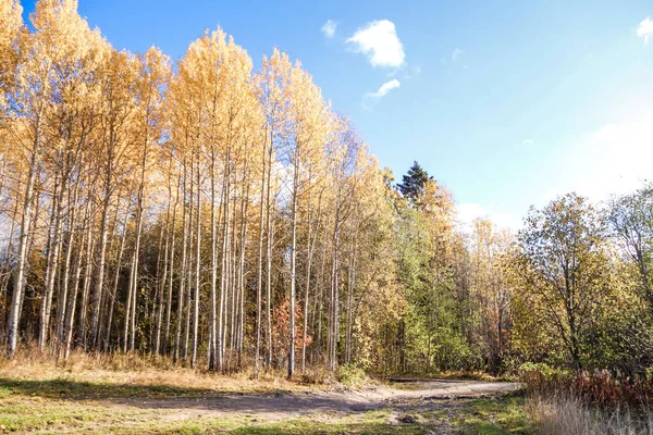 stock image Autumn day in the vicinity of the sanatorium 