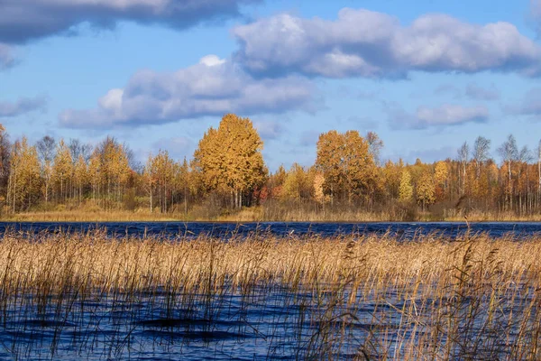 Höstdag Närheten Sanatorium Belomorye Archangelskregionen Den Sjön Smardie Strand Reflektionen — Stockfoto