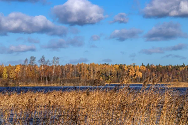 Höstdag Närheten Sanatorium Belomorye Archangelskregionen Den Sjön Smardie Strand Reflektionen — Stockfoto