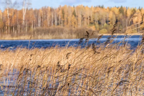 Sonbahar günü sanatoryum 