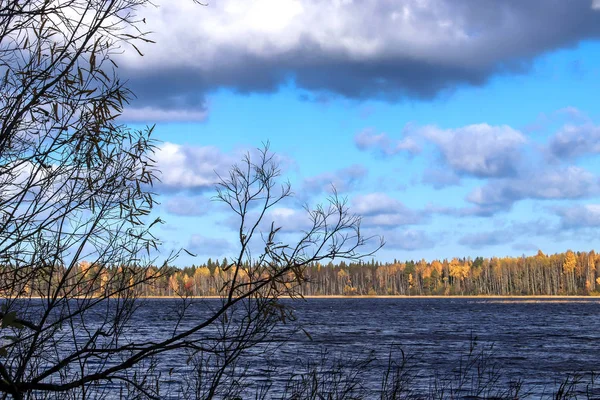 Jour Automne Dans Les Environs Sanatorium Belomorye Région Arkhangelsk Rive — Photo