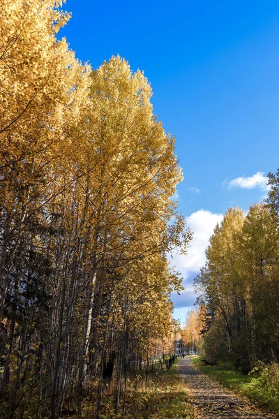 Sonbahar günü sanatoryum 