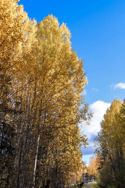 Sonbahar günü sanatoryum 