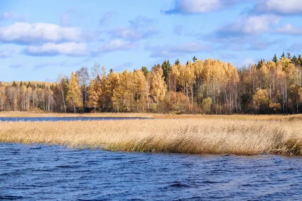 Sonbahar günü sanatoryum 