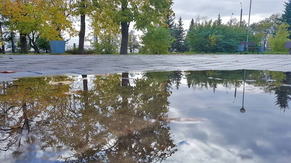 Arkhangelsk Otoño Parque Ciudad Reflexión Disparo Bajo — Foto de Stock