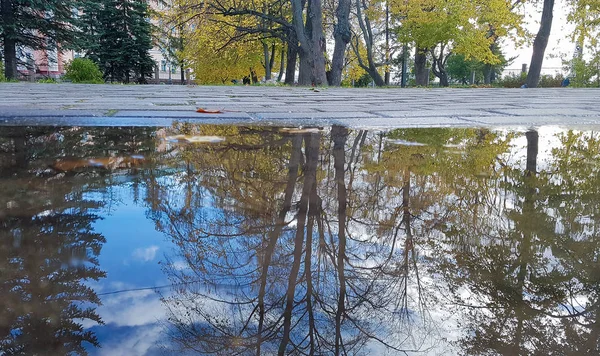 Archangelsk Herbst Stadtpark Nachdenken Niedriges Schießen — Stockfoto