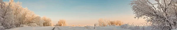 Región Arkhangelsk Invierno Las Proximidades Aldea Levkovka Campos Cubiertos Nieve — Foto de Stock