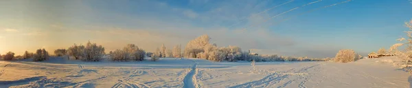 Gebiet Archangelsk Winter Der Nähe Des Dorfes Levkovka Schneebedeckte Felder — Stockfoto