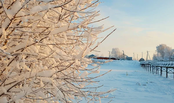 阿尔汉格尔斯克地区 冬天在莱夫卡村附近 被白雪覆盖的田野和道路 — 图库照片