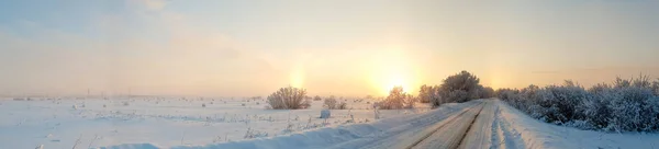 Région Arkhangelsk Hiver Dans Les Environs Village Levkovka Champs Routes — Photo