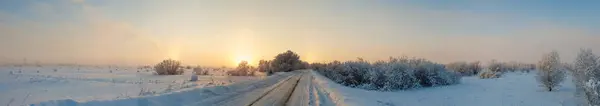 Regione Arkhangelsk Inverno Nelle Vicinanze Del Villaggio Levkovka Campi Strade — Foto Stock