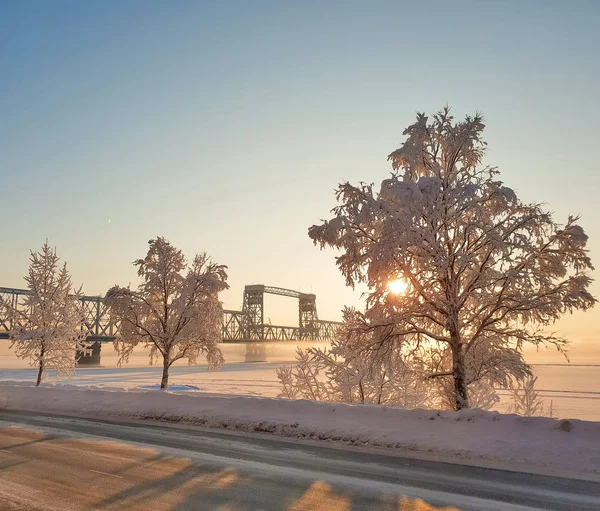 Arhangelszk Napsütéses Téli Nap Január Vasúti Híd Északi Dvina Folyón — Stock Fotó