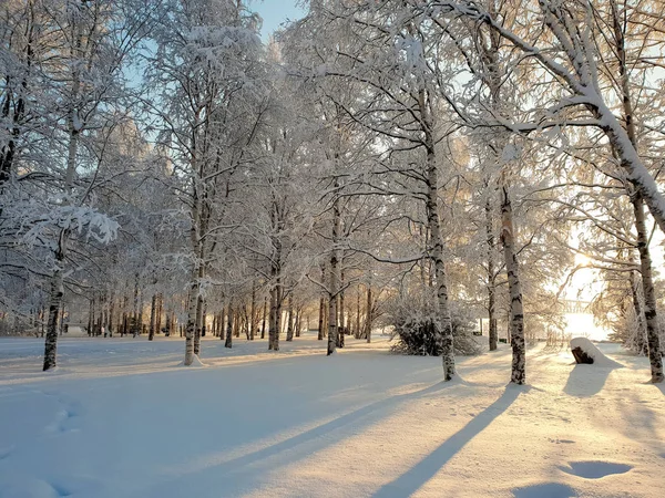 Αρχάγγελσκ Ηλιόλουστη Χειμωνιάτικη Ημέρα Στην Όχθη Του Βόρειο Ντβίνα Ιανουάριος — Φωτογραφία Αρχείου