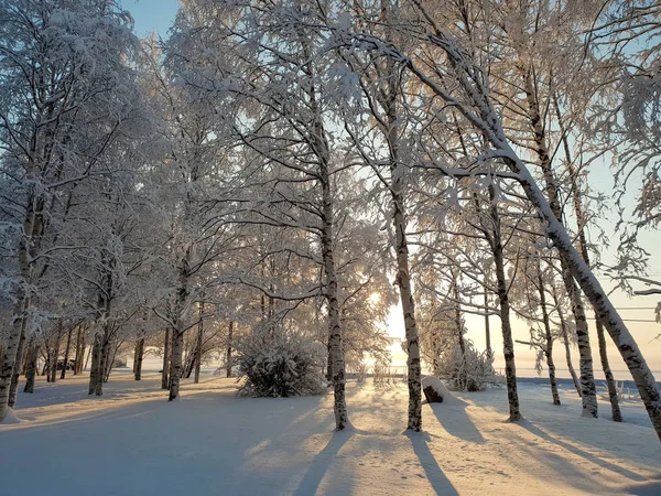 Arkhangelsk Sunny Winter Day Bank Northern Dvina January — Stock Photo, Image