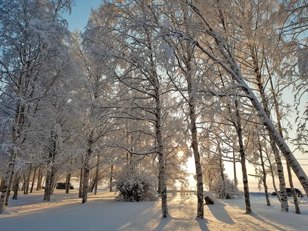 Arkhangelsk Sunny Winter Day Bank Northern Dvina January — Stock Photo, Image