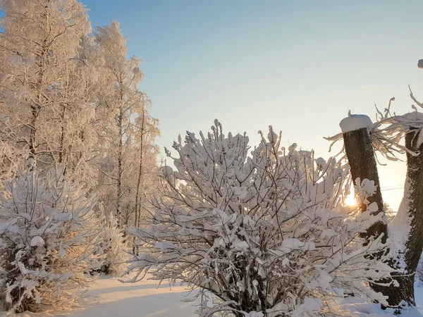 Αρχάγγελσκ Ηλιόλουστη Χειμωνιάτικη Ημέρα Στην Όχθη Του Βόρειο Ντβίνα Ιανουάριος — Φωτογραφία Αρχείου