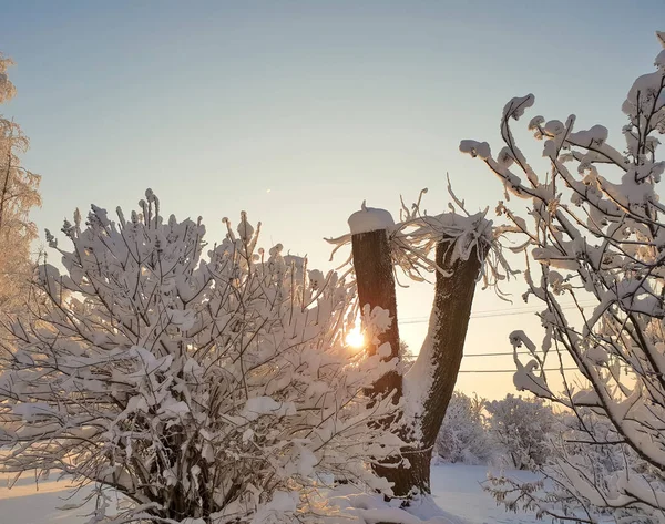 Arkhangelsk Día Invierno Soleado Orilla Del Norte Dvina Enero —  Fotos de Stock