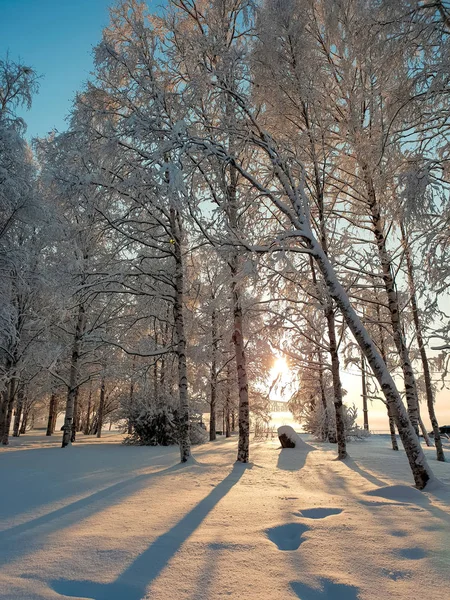 Arkhangelsk. Sunny winter day on the Bank of the Northern Dvina. January. — Stock Image Arkhangelsk Sunny Winter Day Bank Northern Dvina January Stock Image