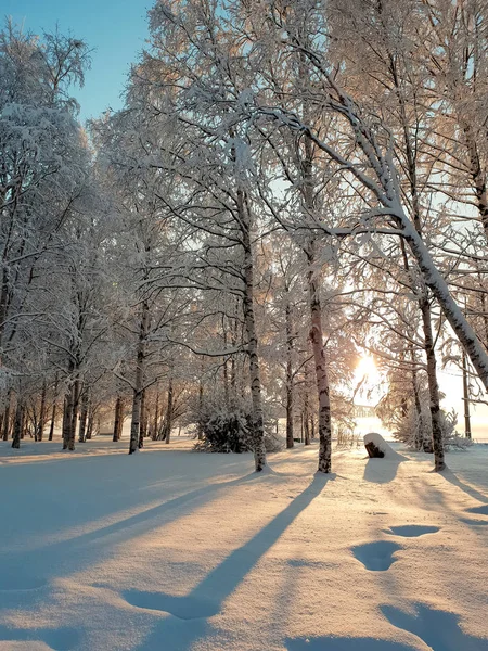 Arkhangelsk. Sunny winter day on the Bank of the Northern Dvina. January. — Stock Image Arkhangelsk Sunny Winter Day Bank Northern Dvina January Royalty Free Stock Photos