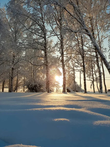Arkhangelsk. Sunny winter day on the Bank of the Northern Dvina. January. — Stock Image Arkhangelsk Sunny Winter Day Bank Northern Dvina January Stock Photo