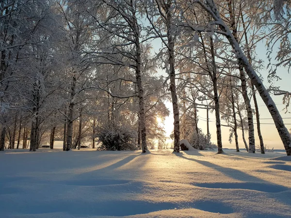 Arkhangelsk. Sunny winter day on the Bank of the Northern Dvina. January. — Stock Image Arkhangelsk Sunny Winter Day Bank Northern Dvina January Stock Image