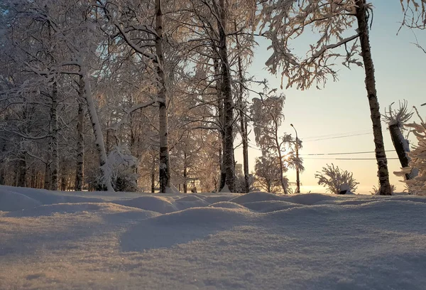 Arkhangelsk. Sunny winter day on the Bank of the Northern Dvina. January. — Stock Image Arkhangelsk Sunny Winter Day Bank Northern Dvina January Stock Photo