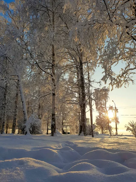 Arkhangelsk. Sunny winter day on the Bank of the Northern Dvina. January. — Stock Image Arkhangelsk Sunny Winter Day Bank Northern Dvina January Royalty Free Stock Photos