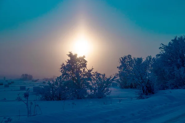 ภาคอาร งเลส หนาวในบร เวณใกล ยงของหม Levkovka มะและถนนท ปกคล — ภาพถ่ายสต็อก