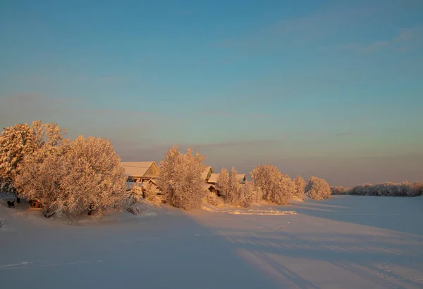 Région Arkhangelsk Hiver Dans Les Environs Village Levkovka Champs Routes — Photo